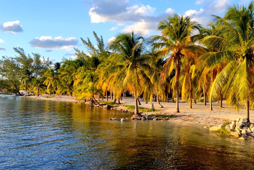 Sunset over the palm trees, Isla Mujeres